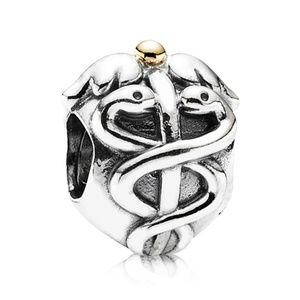 Pandora Life Saver Charm